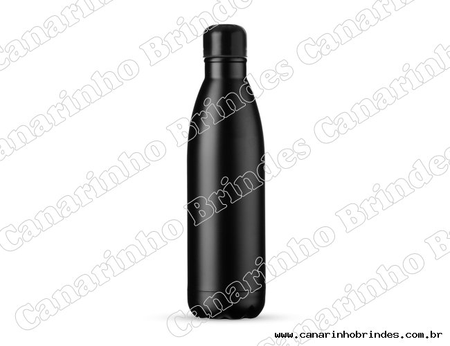 Garrafa Trmica Inox 750ml